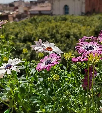 Casa Majorana Hotel *